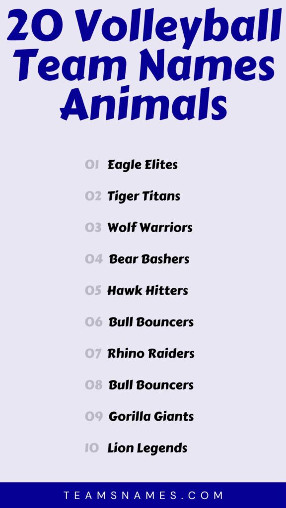 Volleyball Team Names Animals