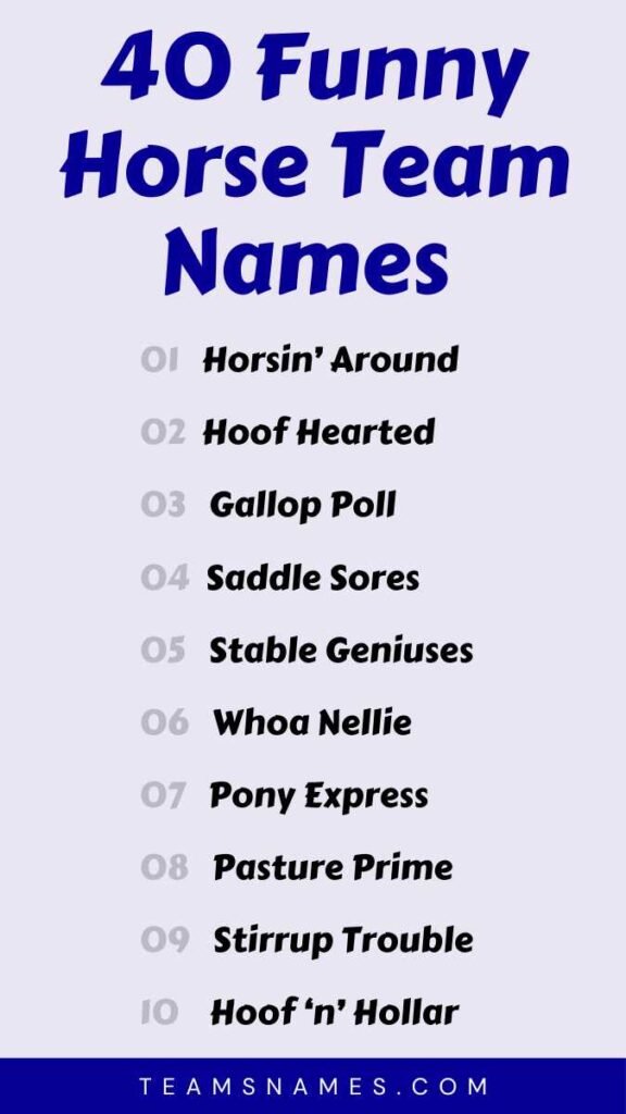 Funny Horse Team Names