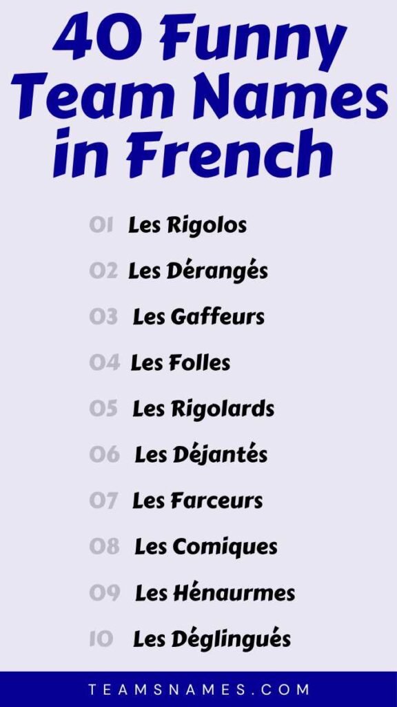 Funny Team Names in French