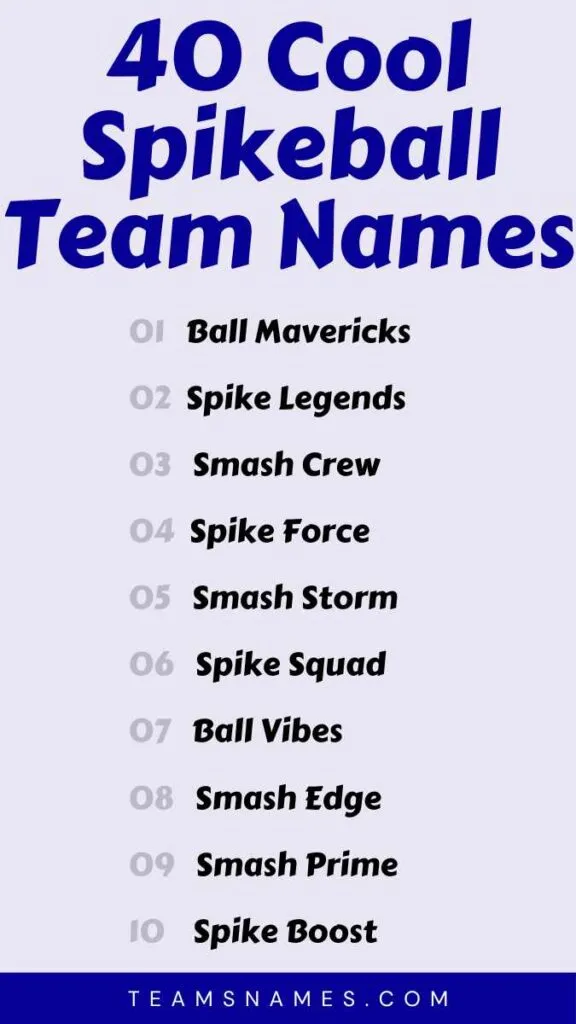 Cool Spikeball Team Names