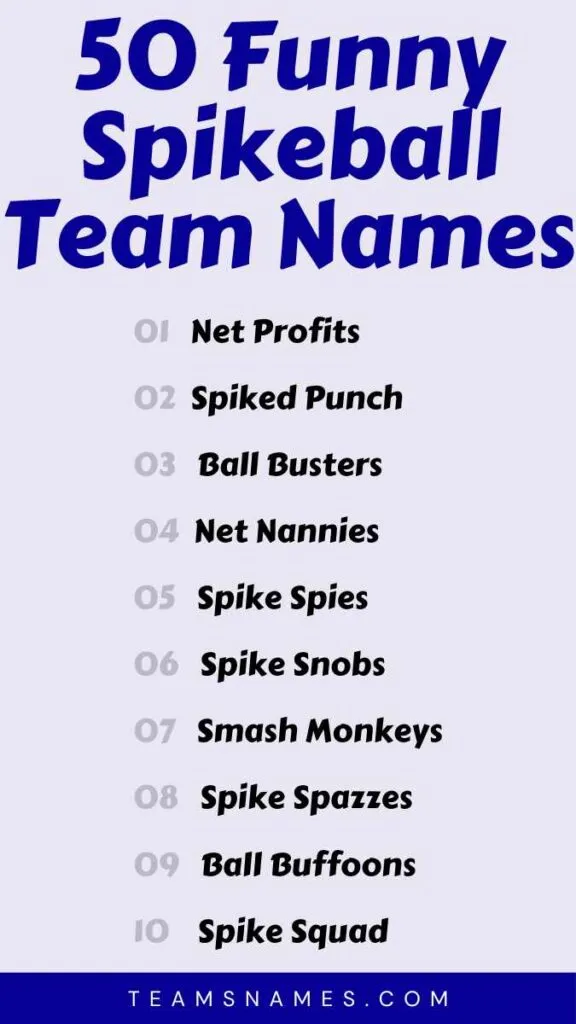 Funny Spikeball Team Names