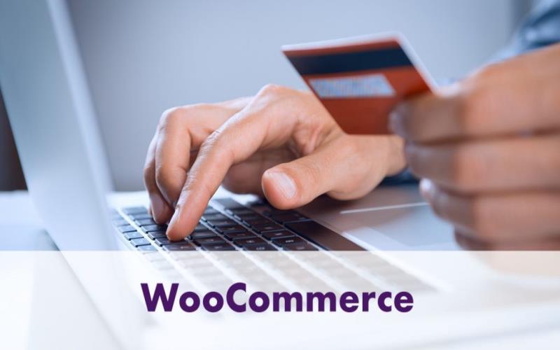 How Much Does It Take to Run an Online Store with WooCommerce