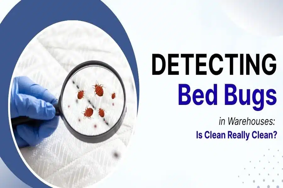 Detecting Bed Bugs