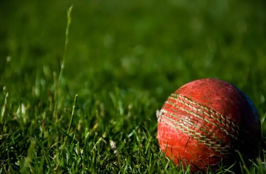 IPL Teams